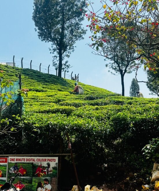 Ooty Kpr Tours