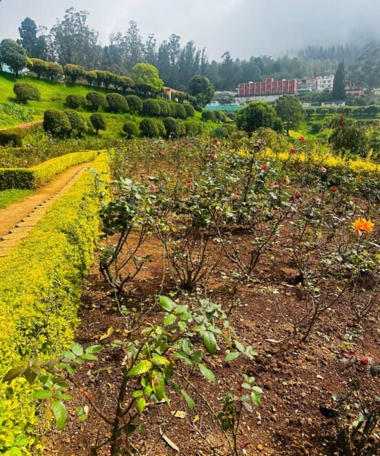 Ooty Kpr Tours