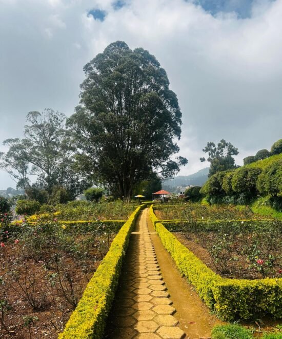 Ooty Kpr Tours